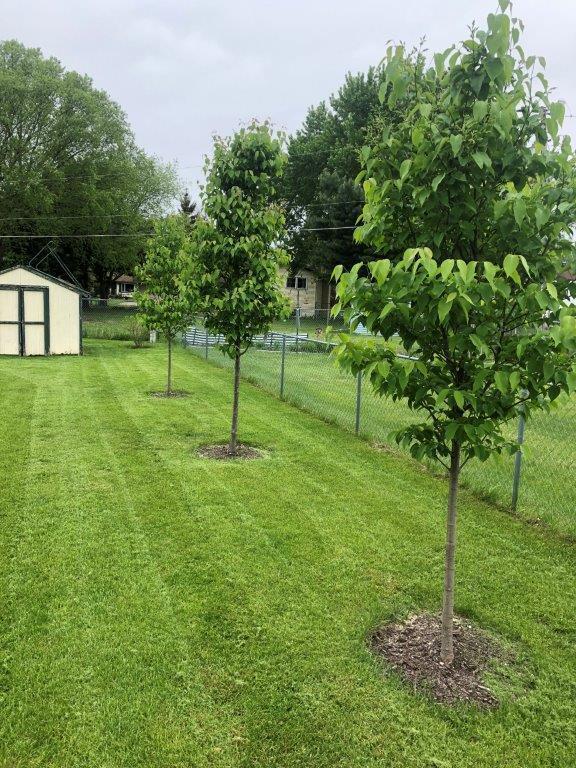 3006 Locust Ave South, Holmen, WI 54636