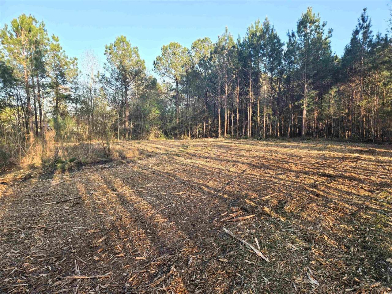 TBD Highway 905, Longs, SC 29568