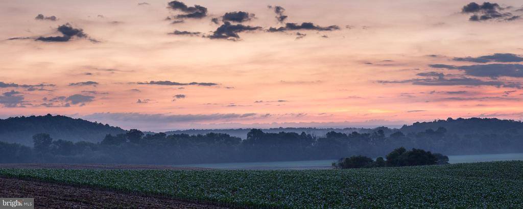 2427 S Blue Ridge Turnpike, Rochelle, VA 22738