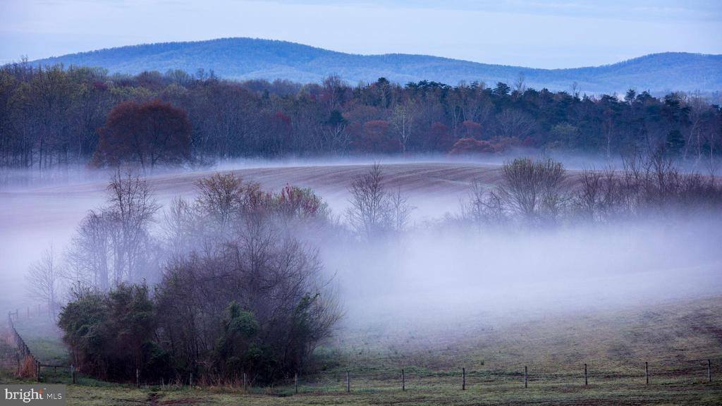 2427 S Blue Ridge Turnpike, Rochelle, VA 22738