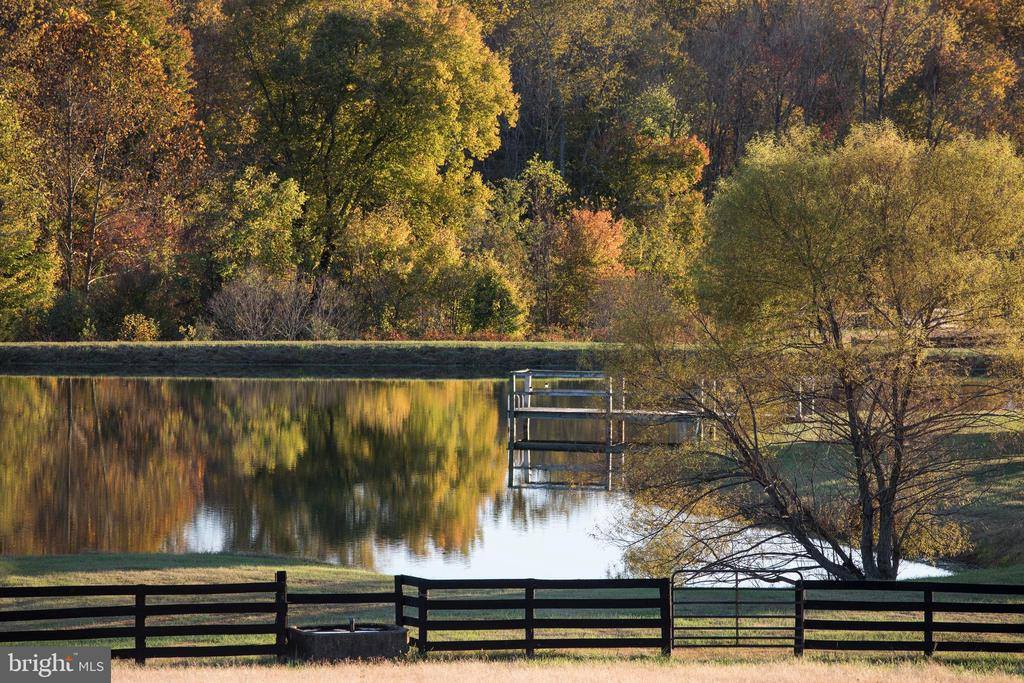 2427 S Blue Ridge Turnpike, Rochelle, VA 22738