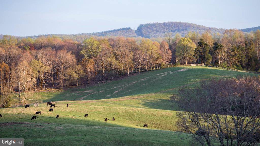 2427 S Blue Ridge Turnpike, Rochelle, VA 22738