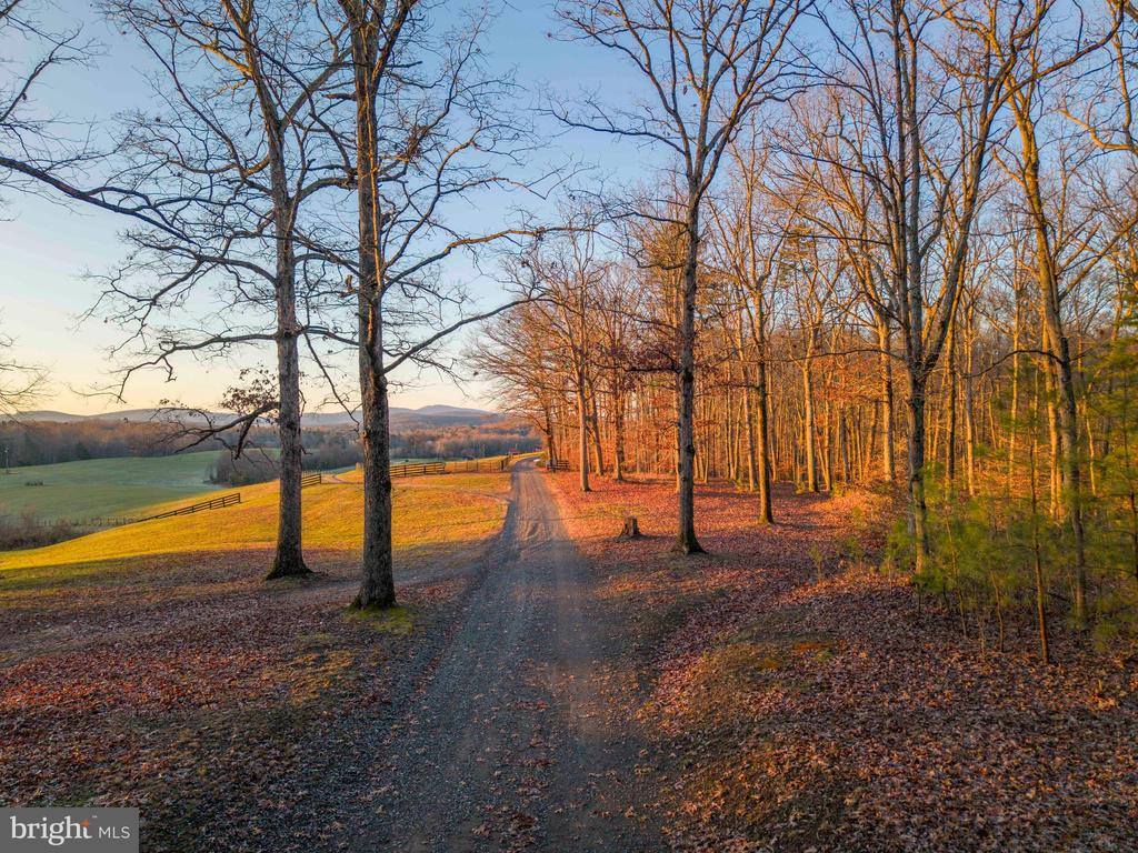 2427 S Blue Ridge Turnpike, Rochelle, VA 22738