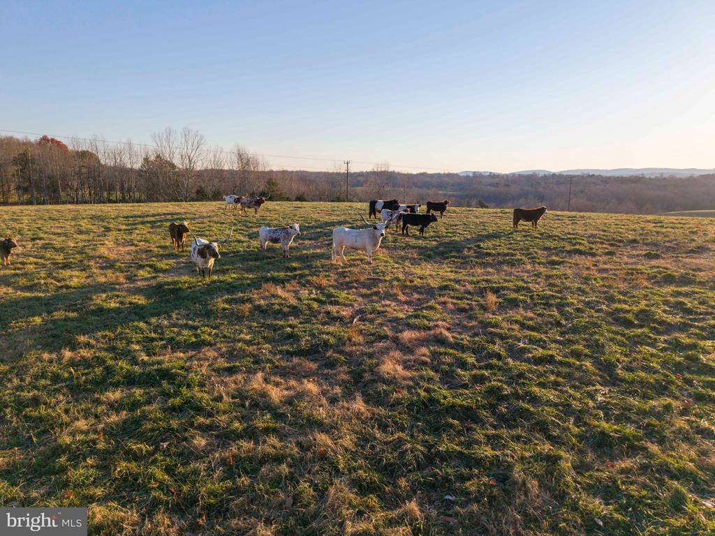 2427 S Blue Ridge Turnpike, Rochelle, VA 22738