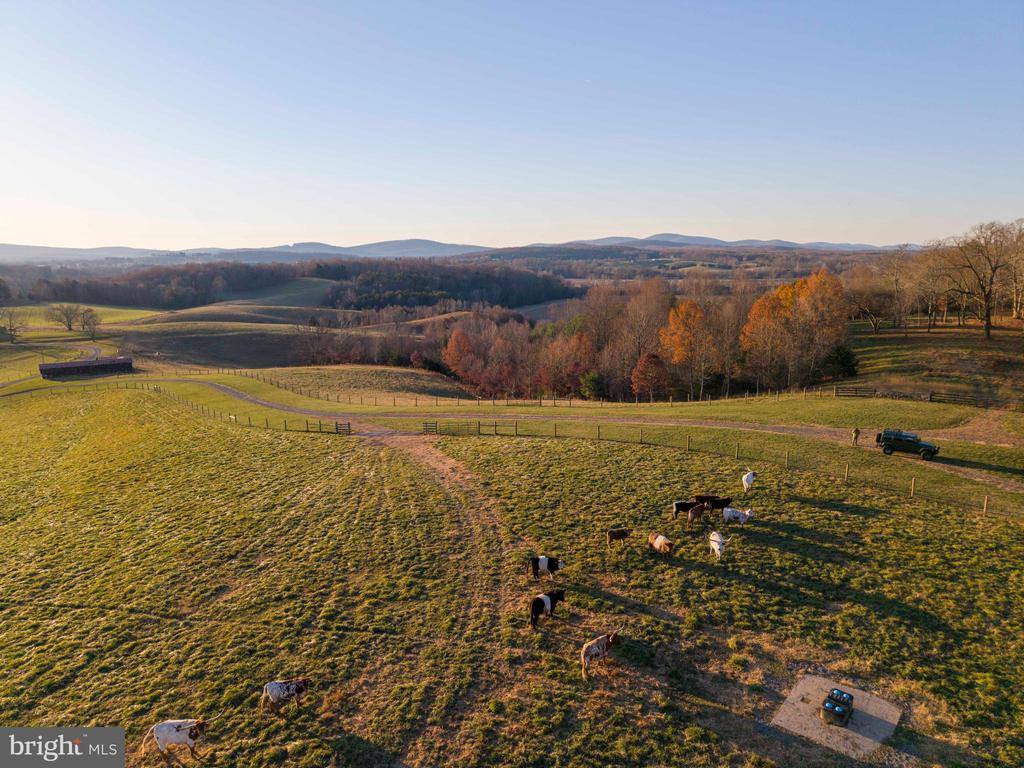 2427 S Blue Ridge Turnpike, Rochelle, VA 22738