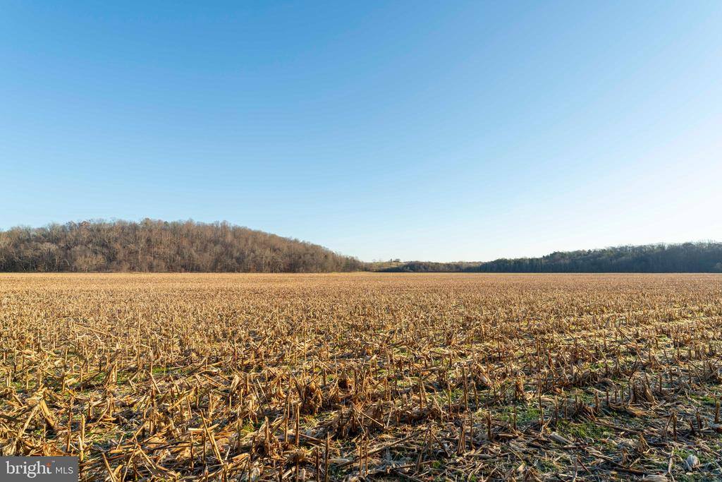 2427 S Blue Ridge Turnpike, Rochelle, VA 22738