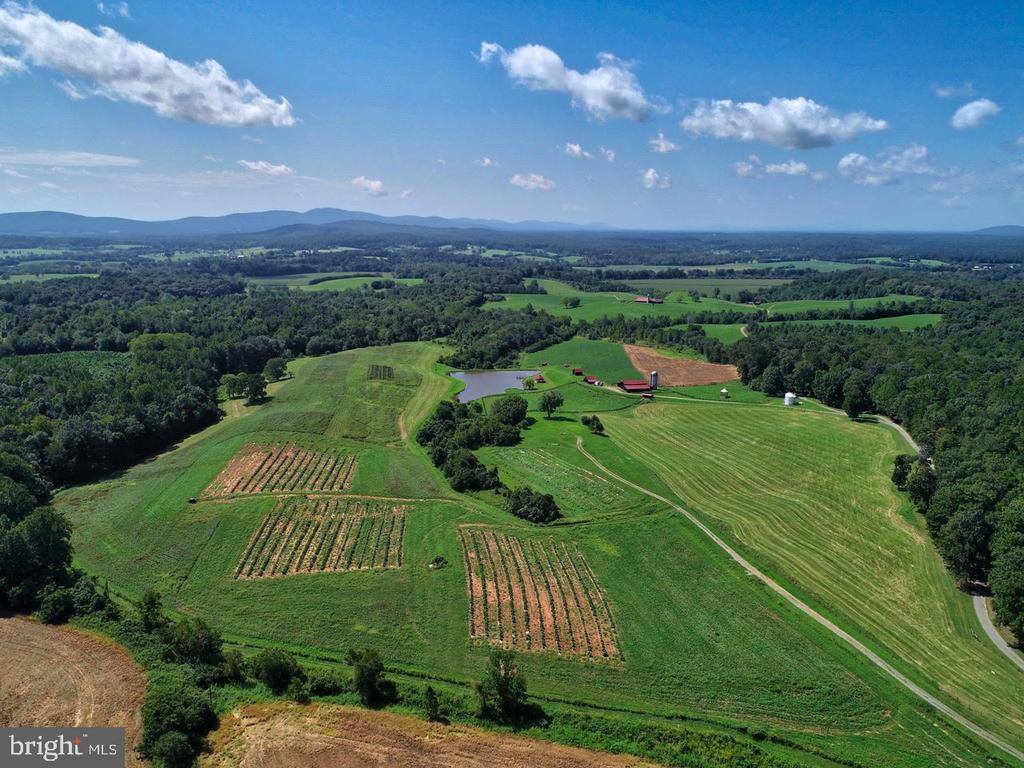 2427 S Blue Ridge Turnpike, Rochelle, VA 22738