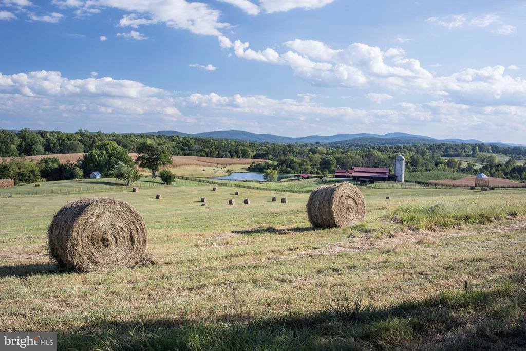 2427 S Blue Ridge Turnpike, Rochelle, VA 22738