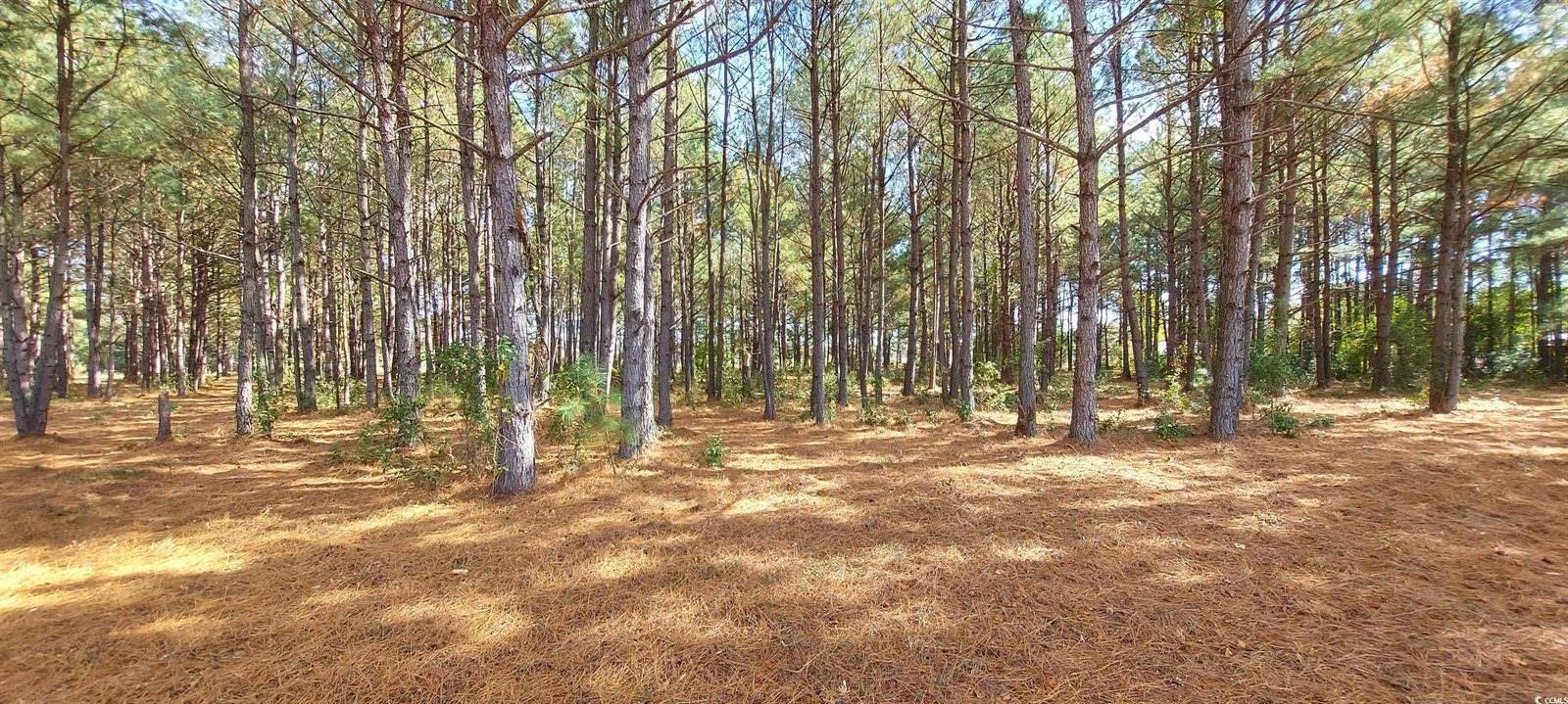 3025 Fowler Rd., Loris, SC 29569