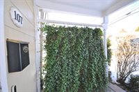 107 Blue Ridge Street, Lynchburg, VA 24501