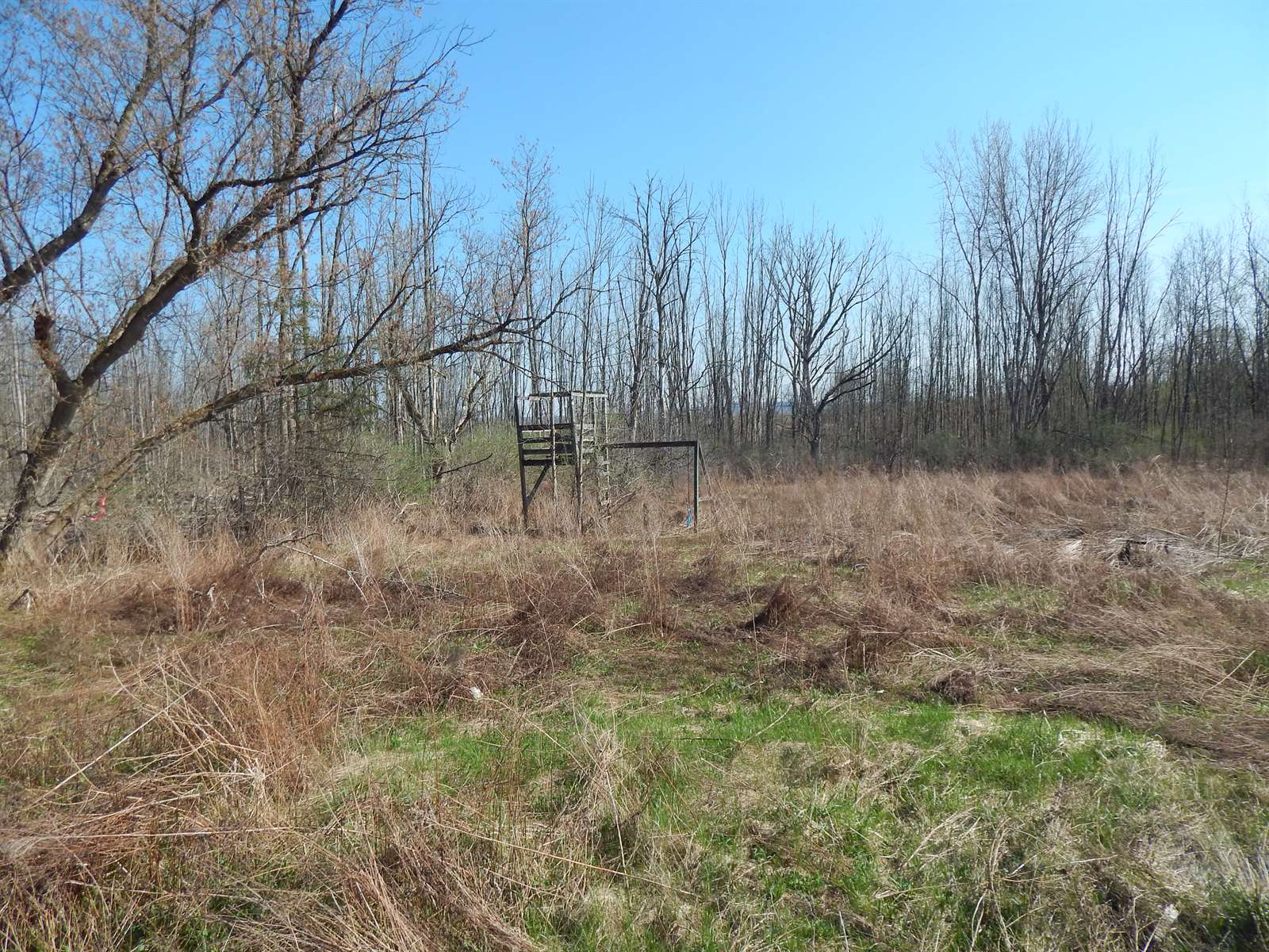 2748 Pineridge Road, Sullivan, NY 13032