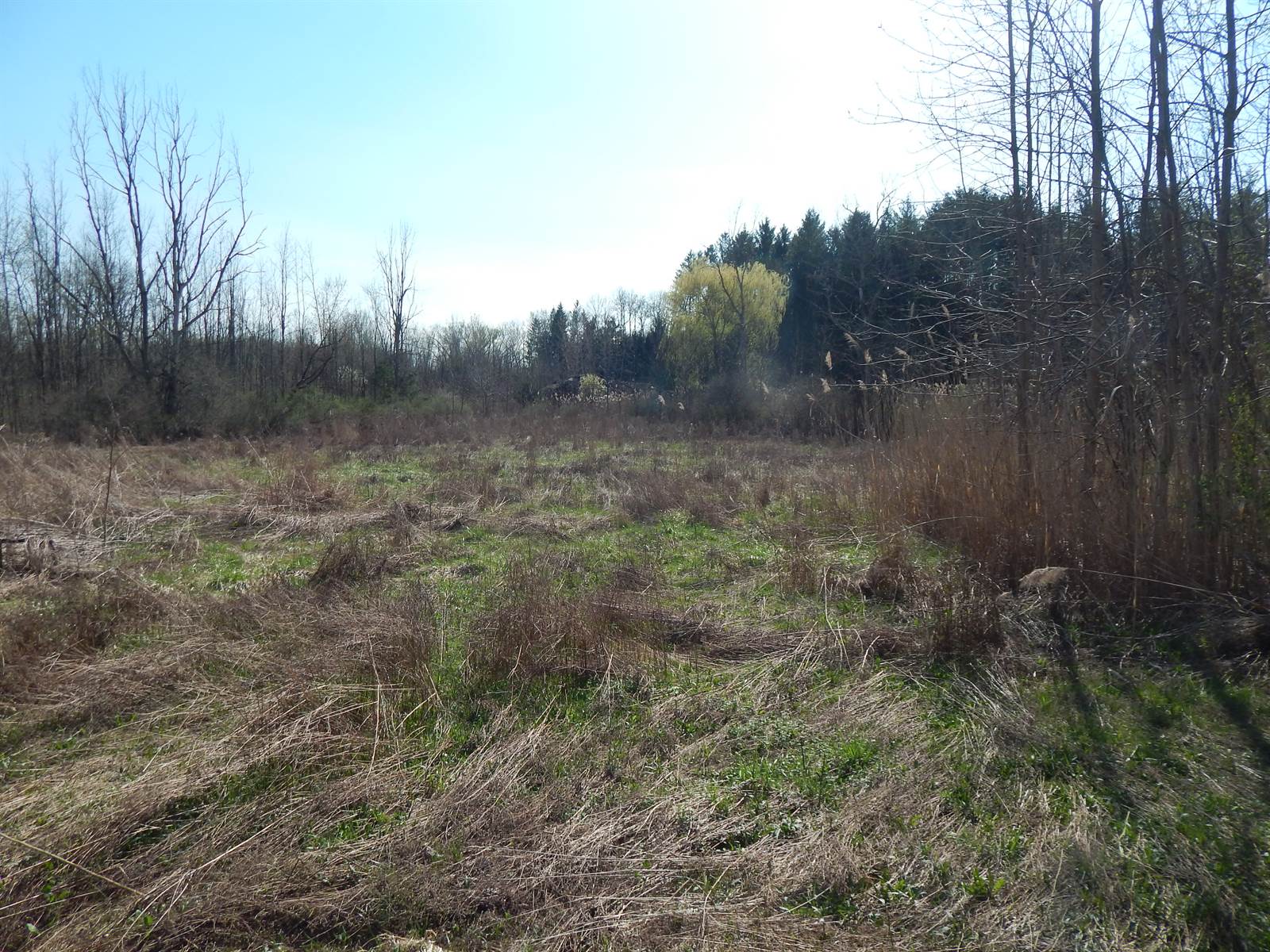 2748 Pineridge Road, Sullivan, NY 13032