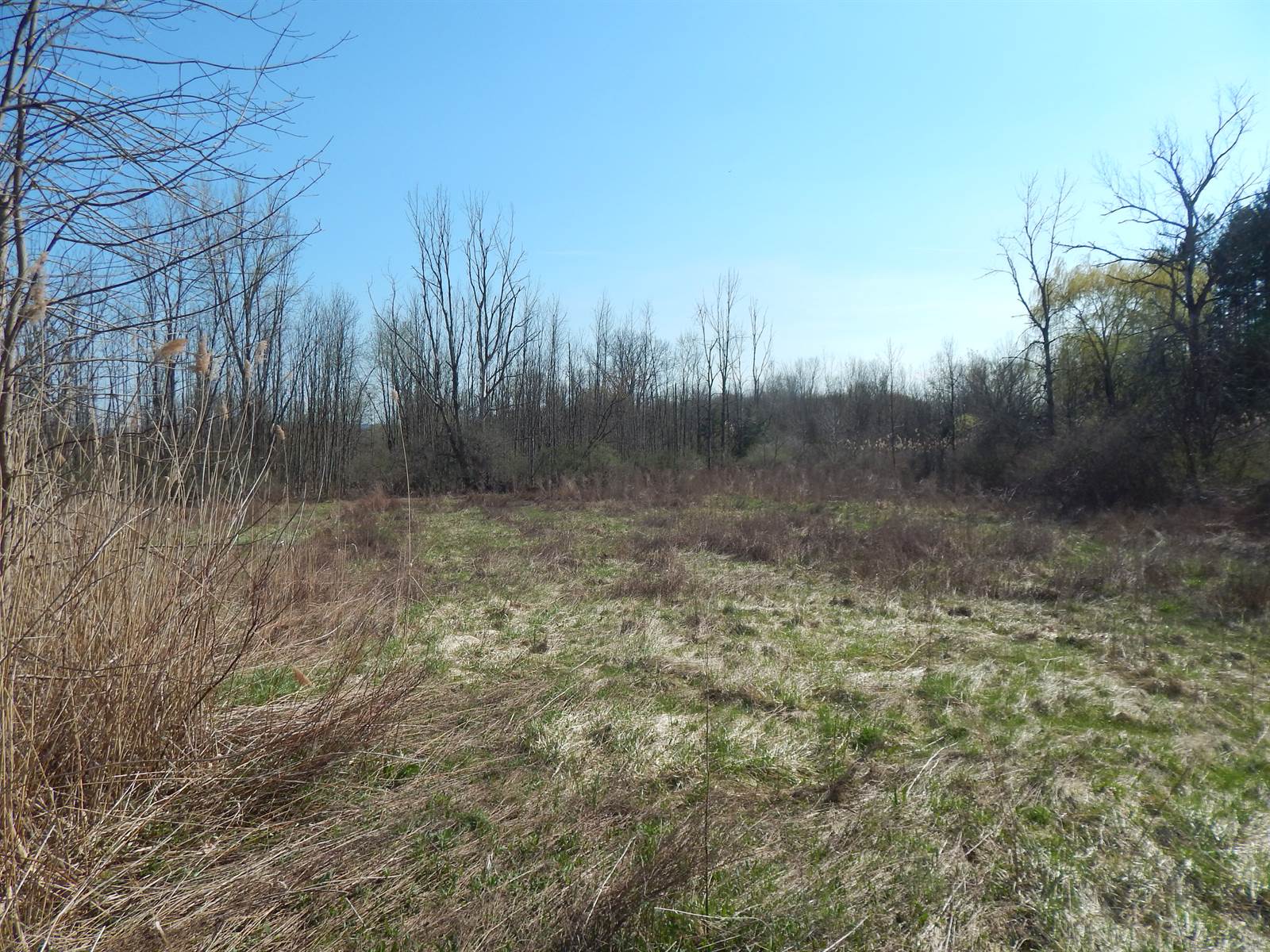 2748 Pineridge Road, Sullivan, NY 13032