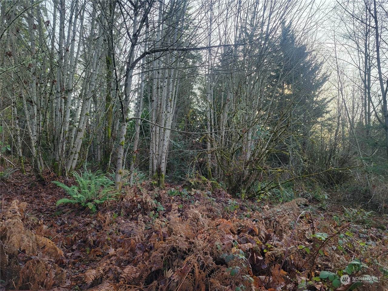 1200 Baby Doll Road East, Port Orchard, WA 98366