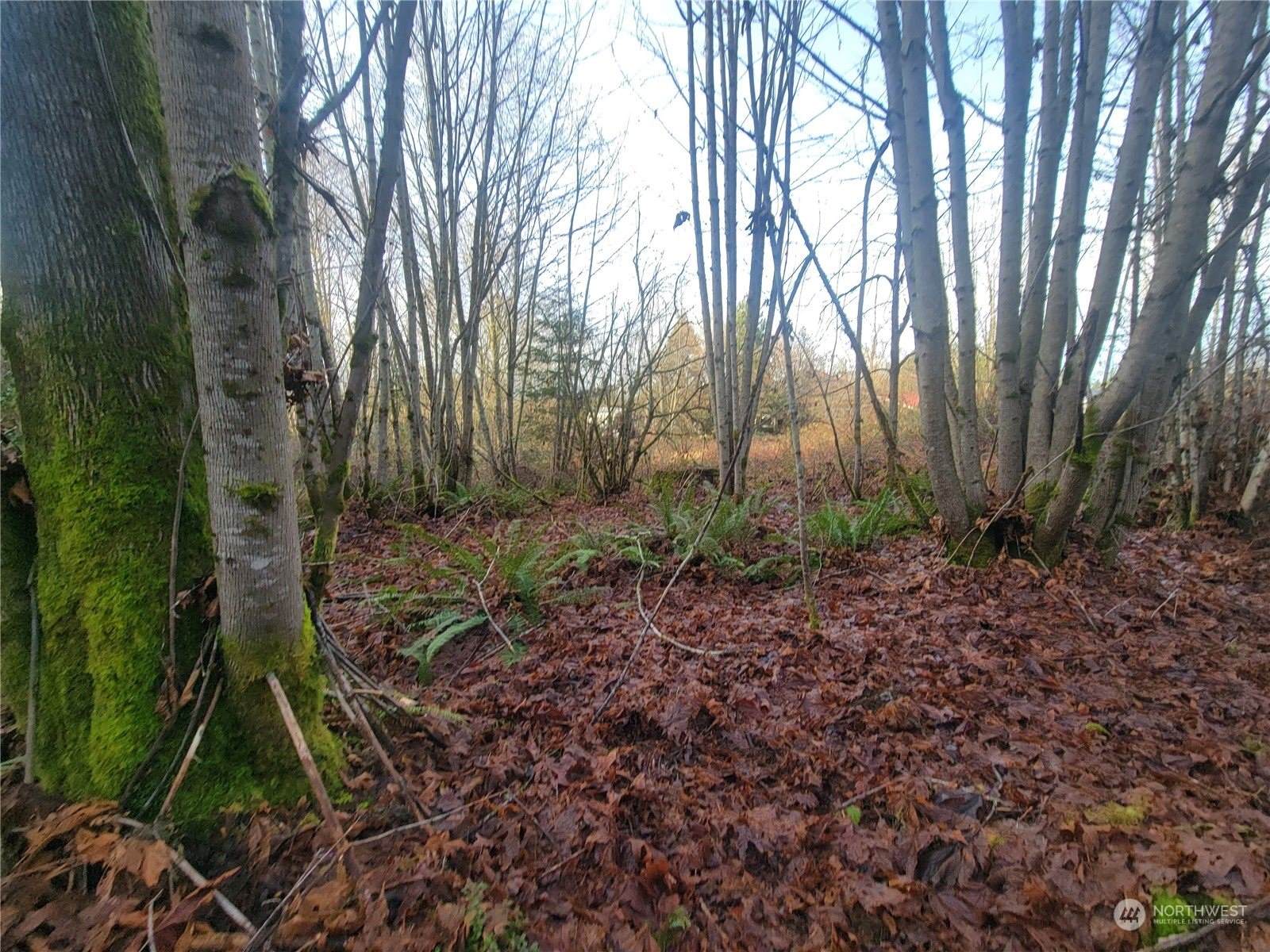 1200 Baby Doll Road East, Port Orchard, WA 98366