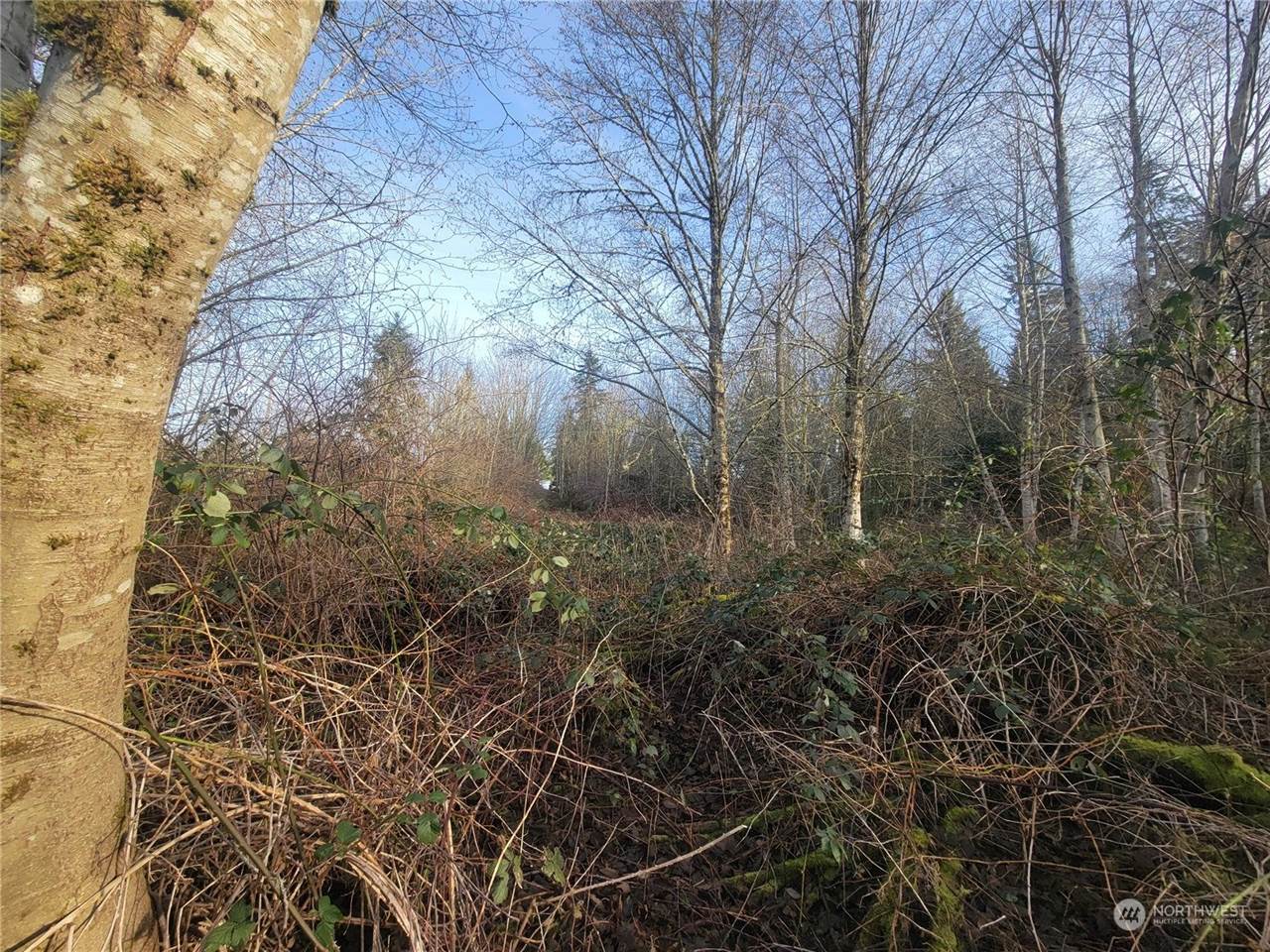 1200 Baby Doll Road East, Port Orchard, WA 98366