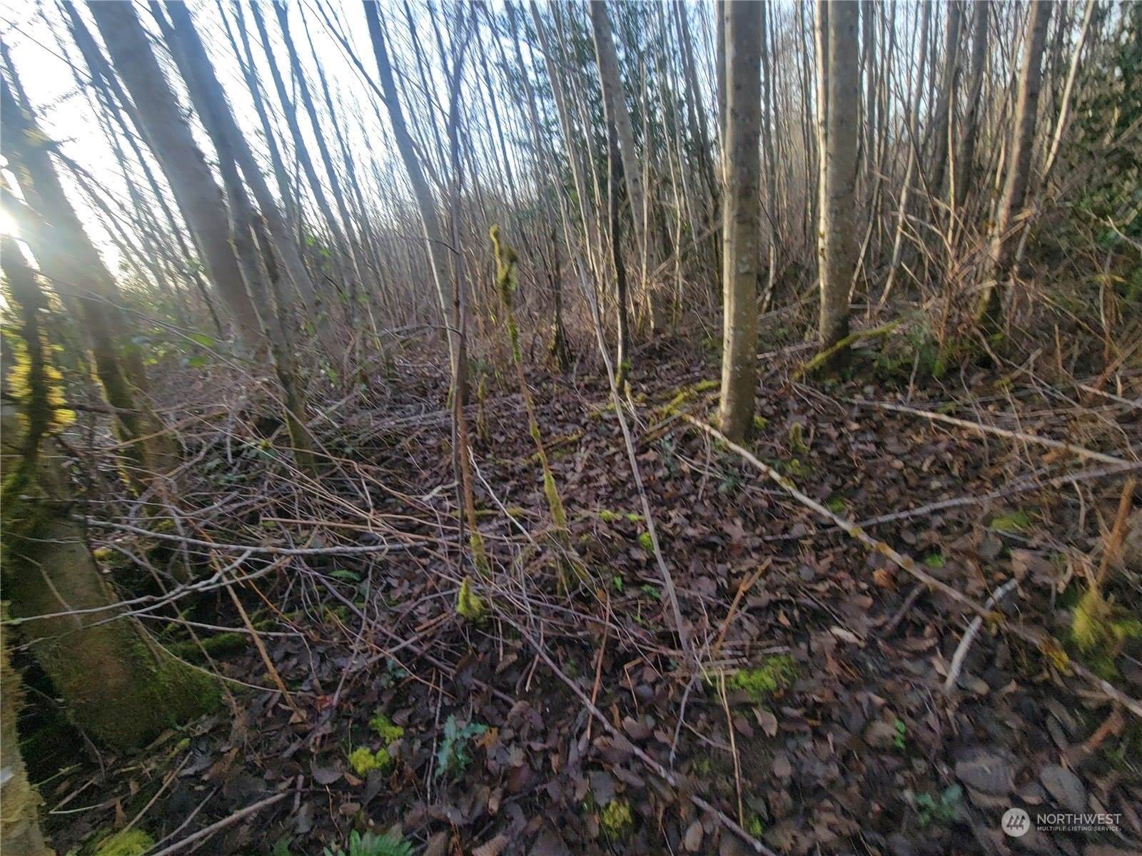 1200 Baby Doll Road East, Port Orchard, WA 98366