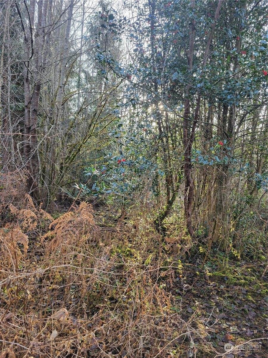 1200 Baby Doll Road East, Port Orchard, WA 98366