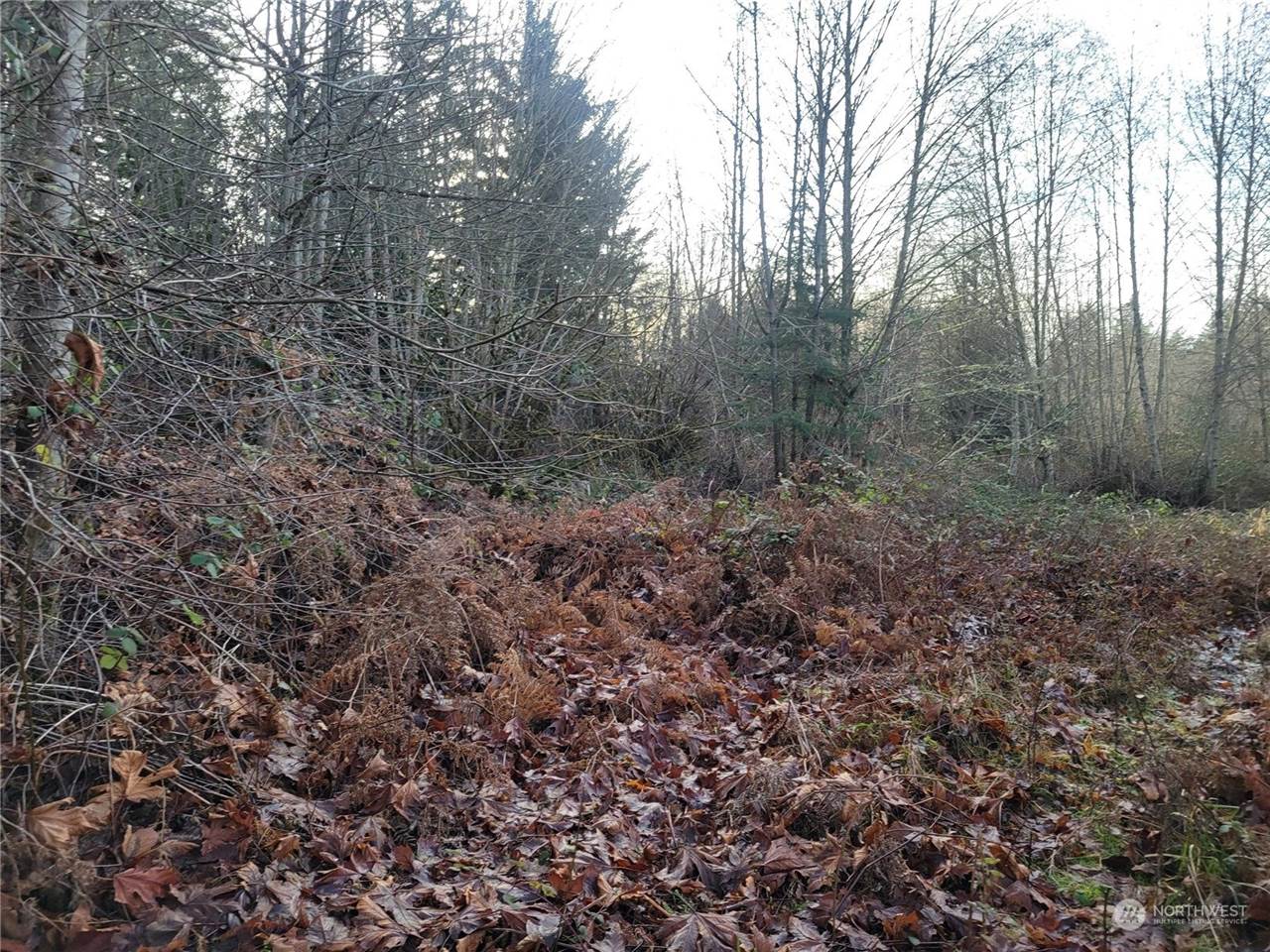 1200 Baby Doll Road East, Port Orchard, WA 98366