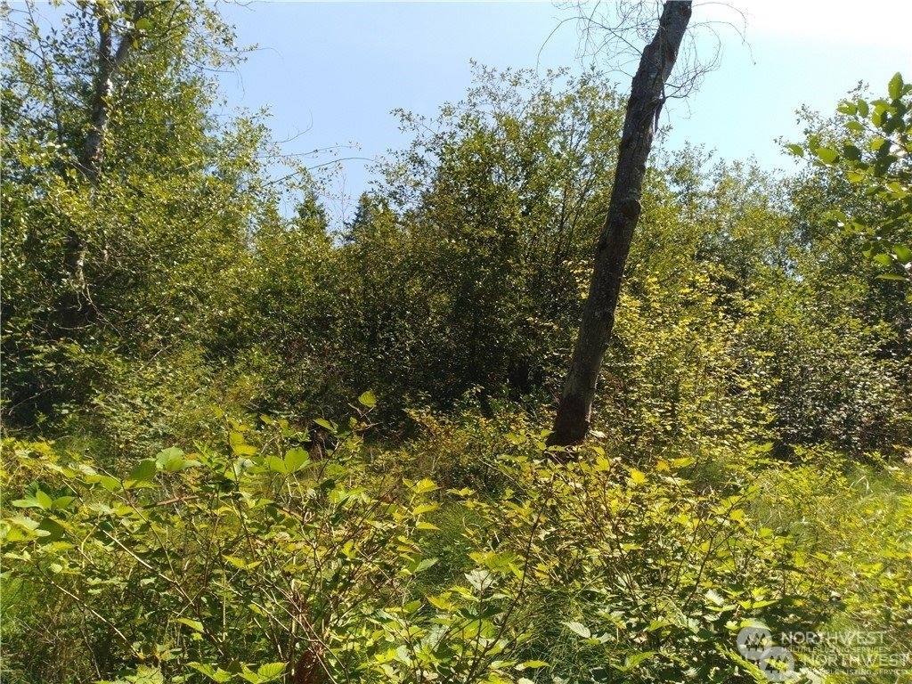 1200 Baby Doll Road East, Port Orchard, WA 98366