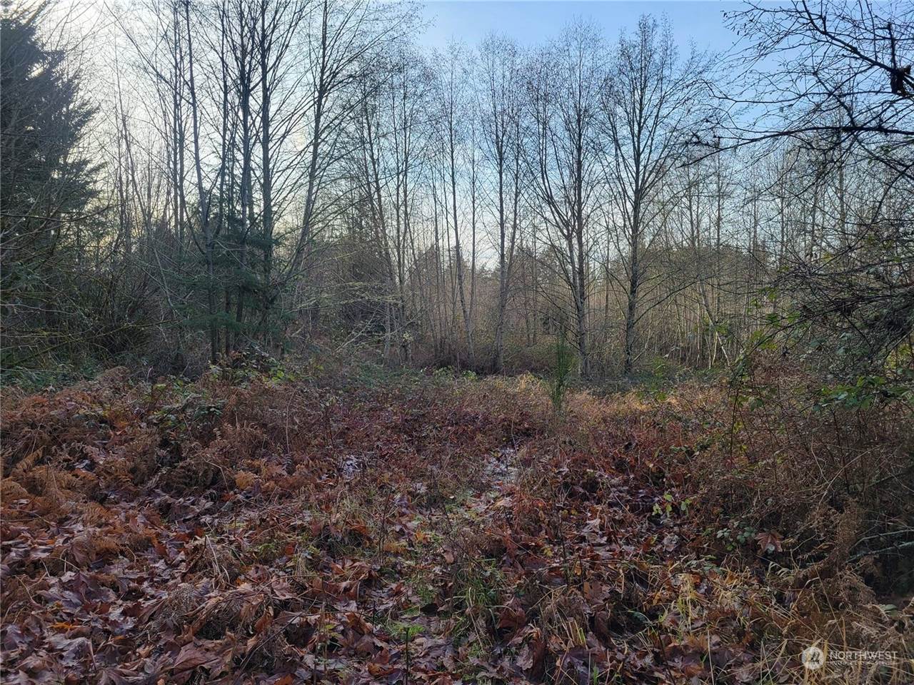 1200 Baby Doll Road East, Port Orchard, WA 98366