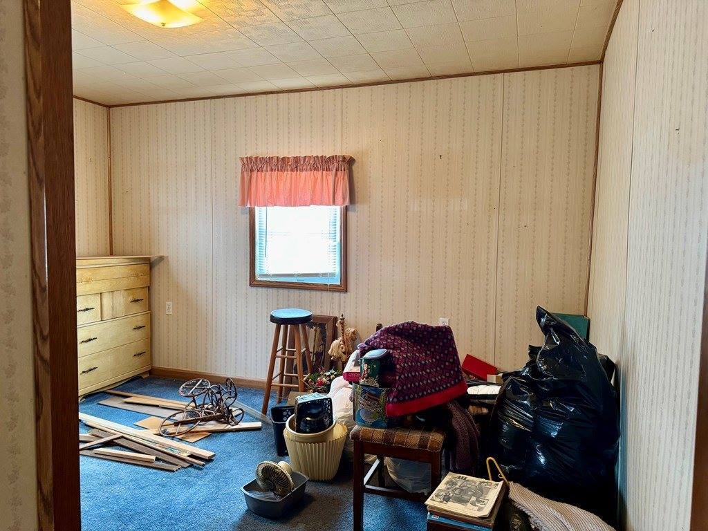 133 Phillips Ct, Loudonville, OH 44842