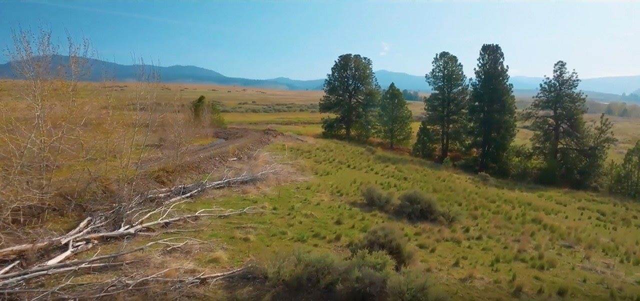 NHN Lot 2 TK Court, Florence, MT 59833
