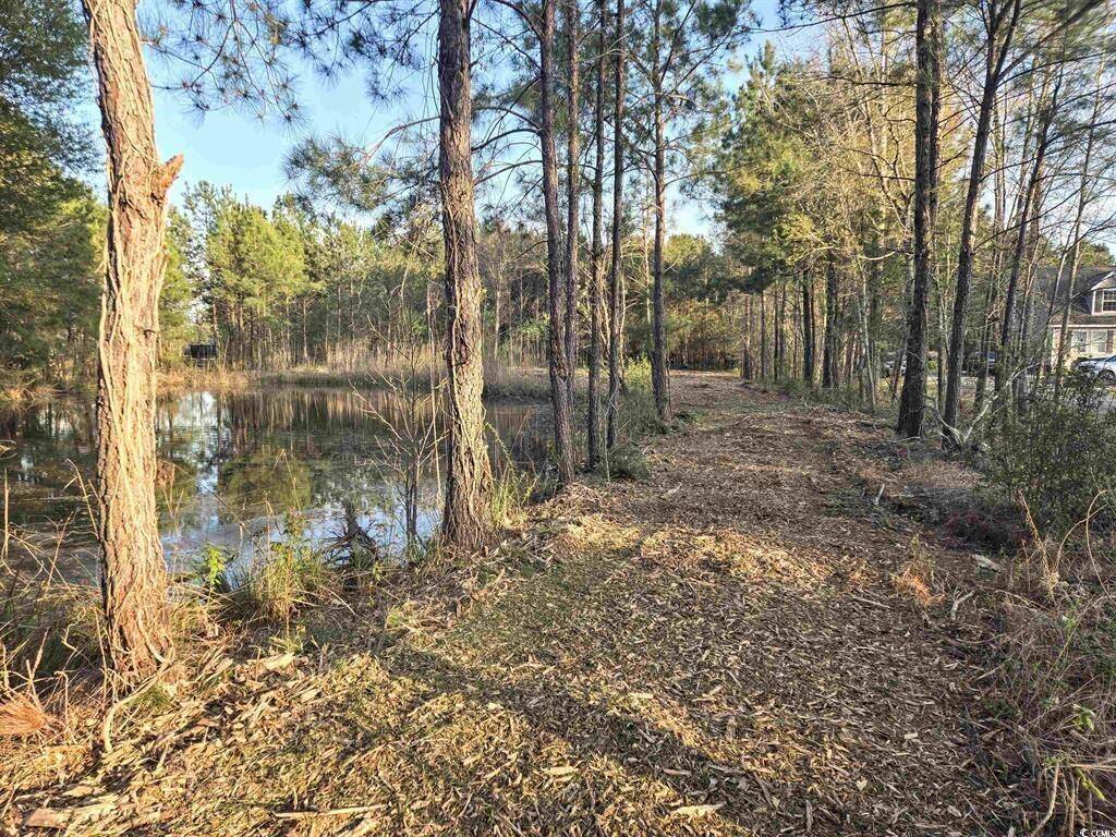 0 Highway 905, Longs, SC 29568