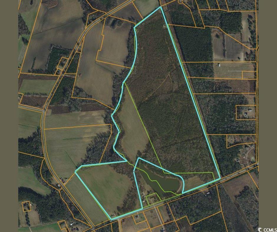 1957 Green Sea Rd., Green Sea, SC 29545