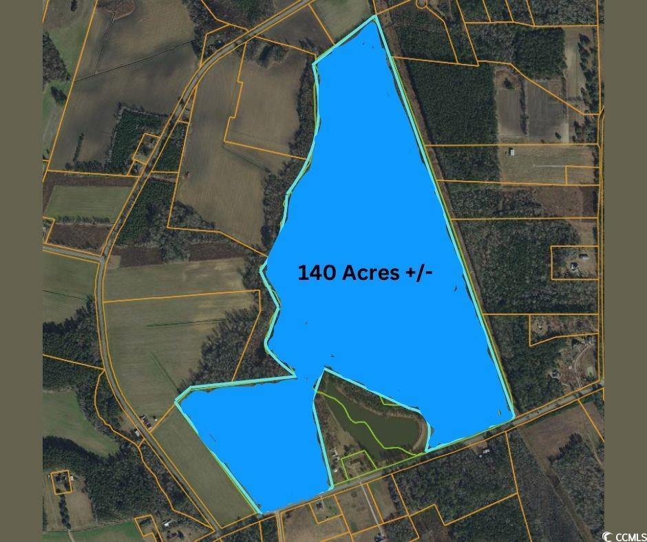 1957 Green Sea Rd., Green Sea, SC 29545