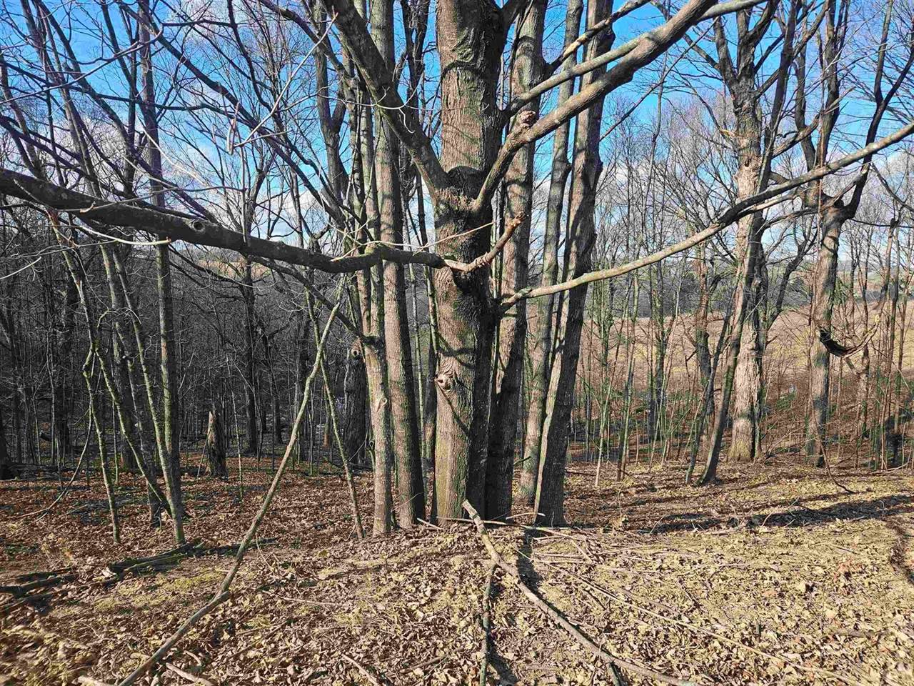 lot 954 Hidden Springs, La Valle, WI 53941