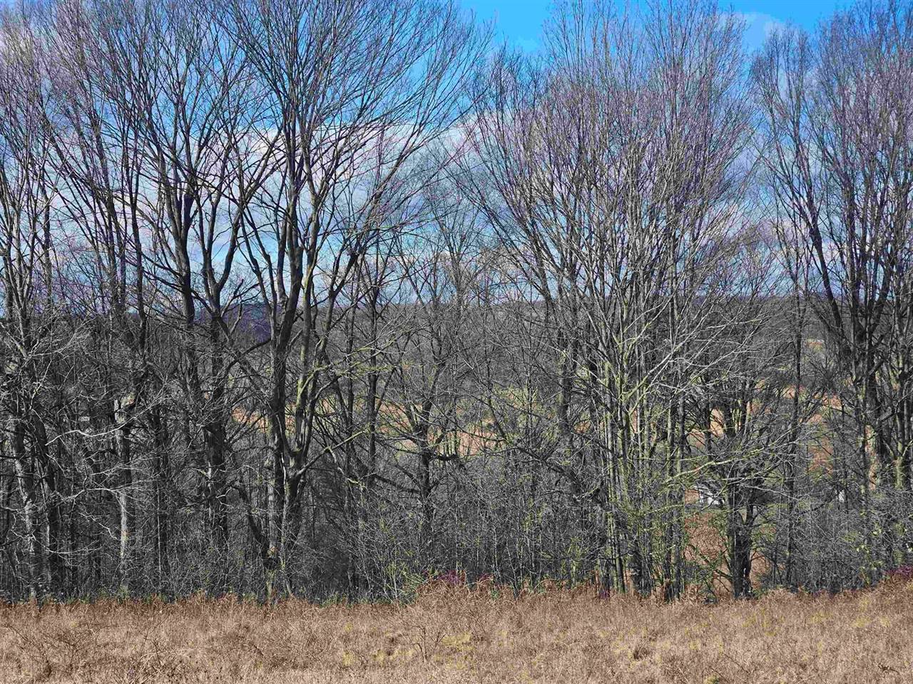 lot 954 Hidden Springs, La Valle, WI 53941