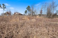 Lot 12 The Bluffs Drive, Edgemont, AR 72044