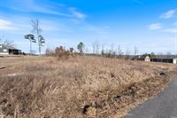 Lot 12 The Bluffs Drive, Edgemont, AR 72044