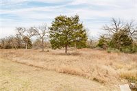 10144 Albert Drive, Iola, TX 77861