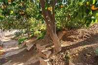 1025 Monte Vista Drive, Riverside, CA 92507