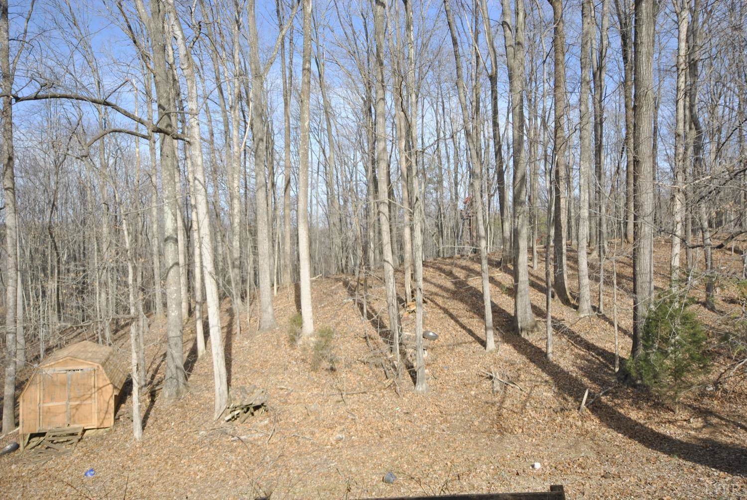 204 West Bethel, Madison Heights, VA 24572