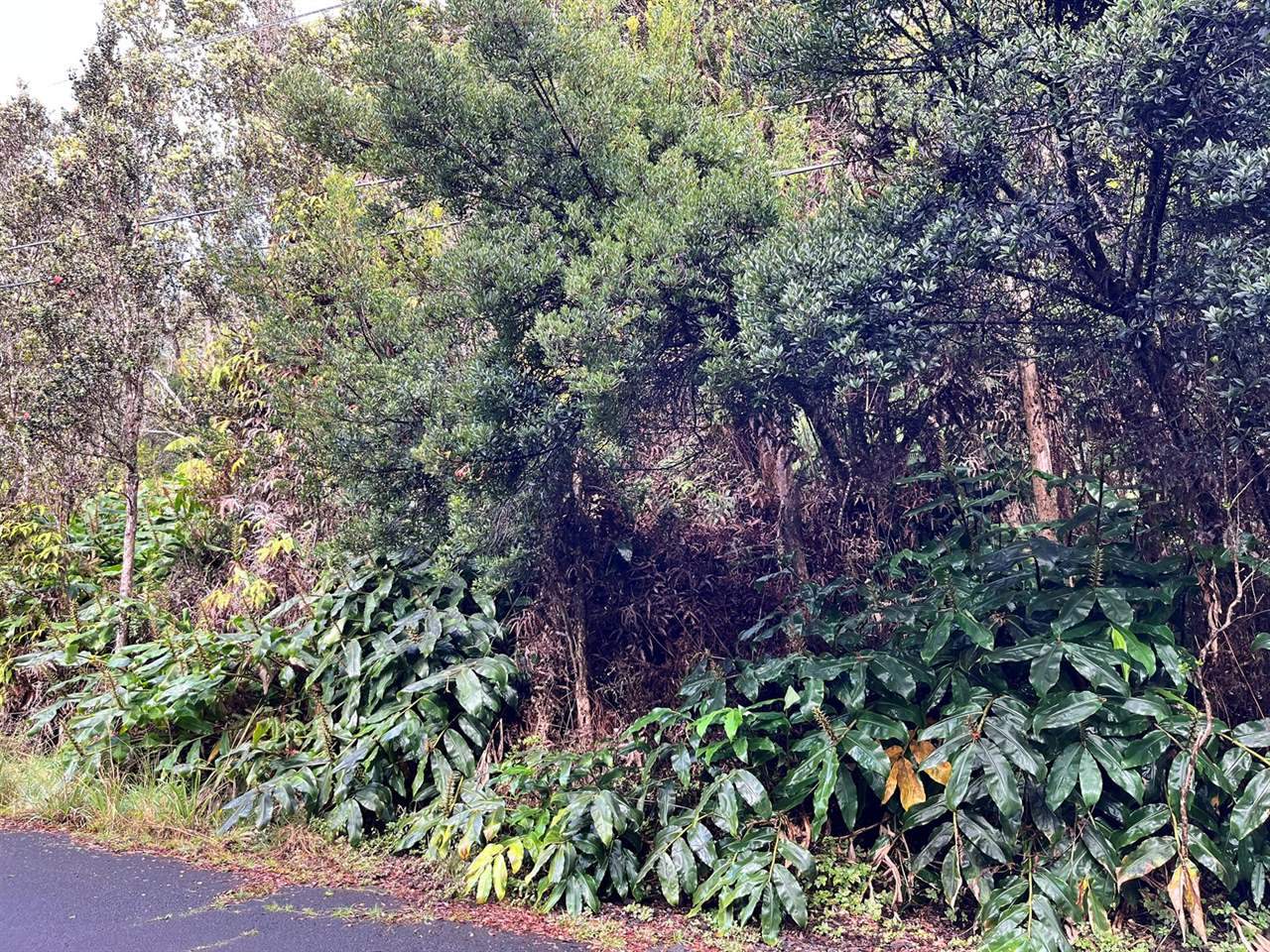 19-3944 Kilinoe St, Volcano, HI 96785