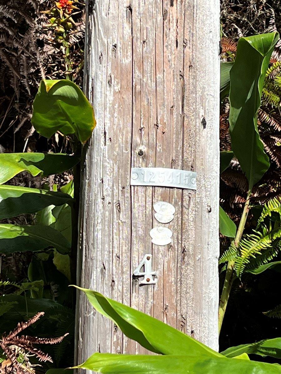 19-3944 Kilinoe St, Volcano, HI 96785