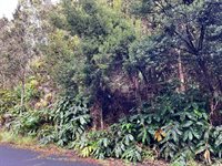 19-3944 Kilinoe St, Volcano, HI 96785