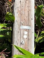 19-3944 Kilinoe St, Volcano, HI 96785