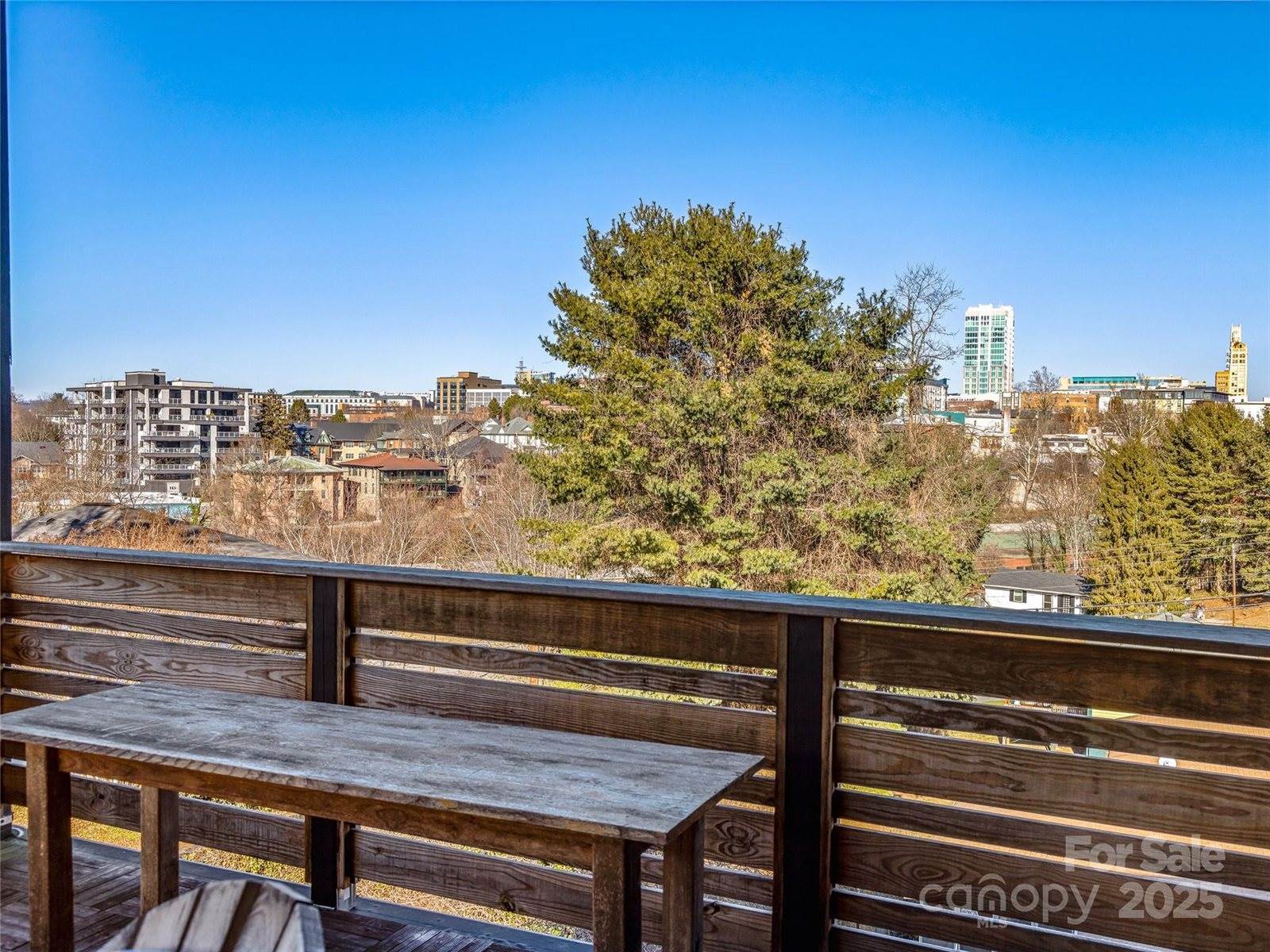 28 Edgehill Avenue, Asheville, NC 28801