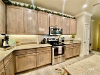 5310 Baldwin Avenue, Orange Beach, AL 36561