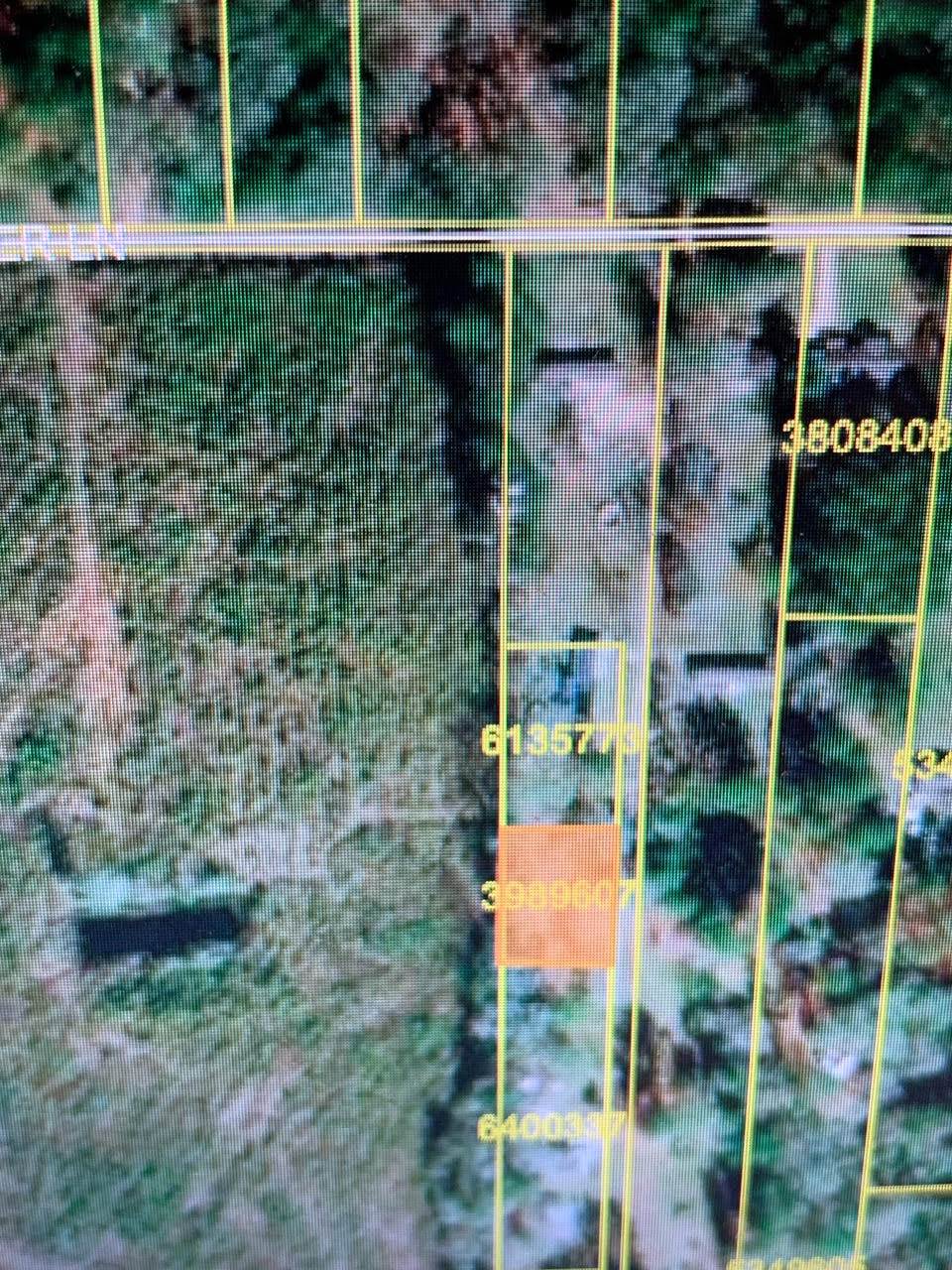 611 E Morris Avenue, Hammond, LA 70403