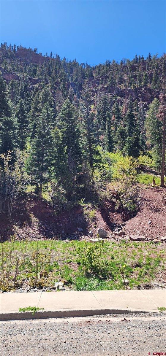 Lot 17 Hinkson Terrace, Ouray, CO 81427