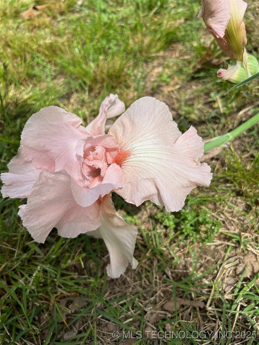 374 Cedar Tree Drive, Crowder, OK 74430