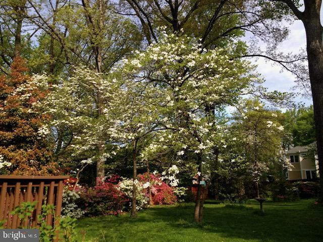 3003 Plyers Mill Road, Kensington, MD 20895