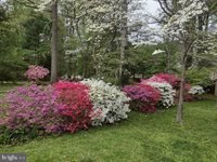 3003 Plyers Mill Road, Kensington, MD 20895