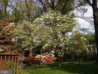 3003 Plyers Mill Road, Kensington, MD 20895