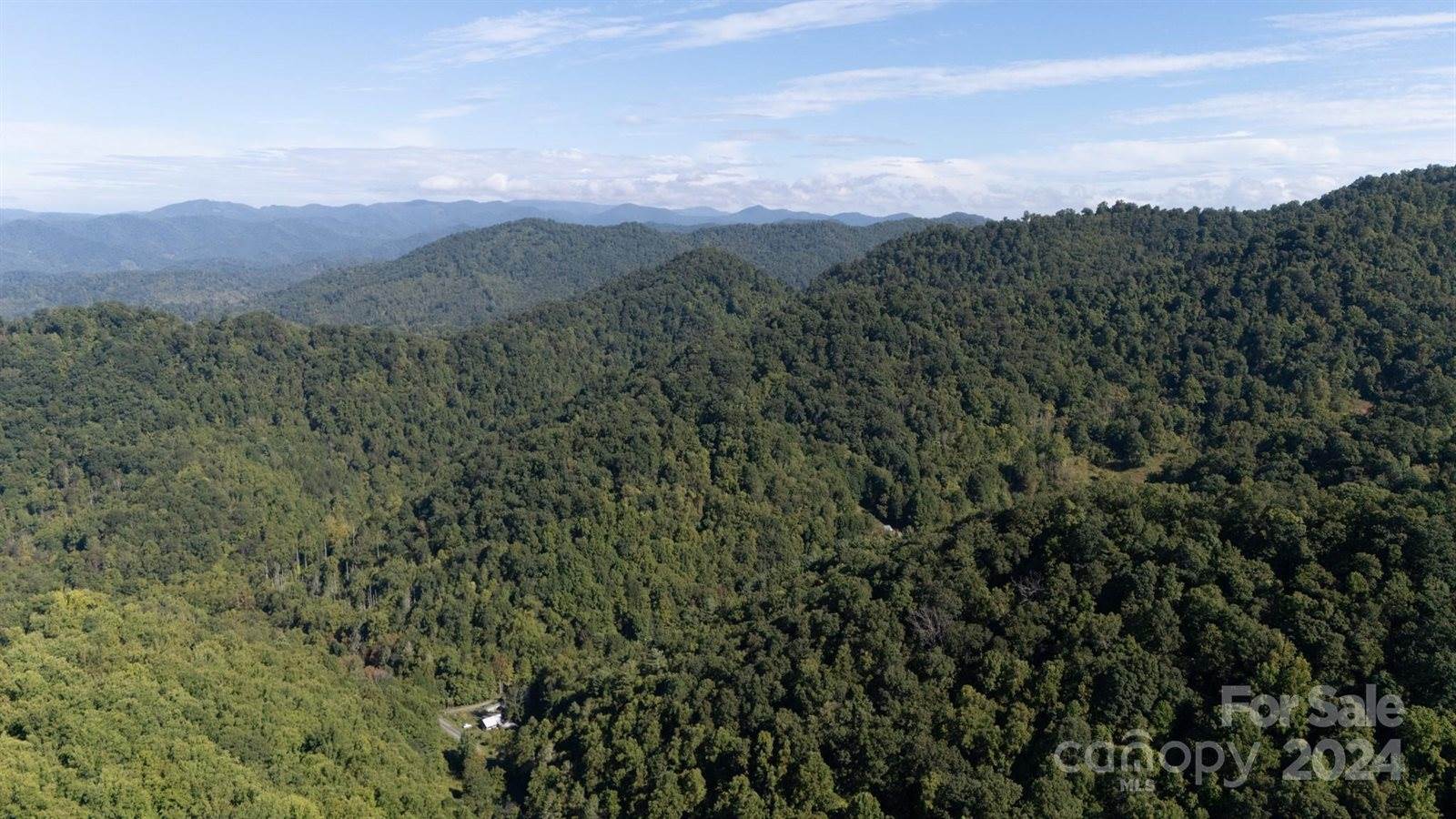 9999 Kelses Valley Drive, Mars Hill, NC 28754